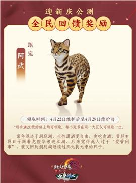 ce加速天龙八部私服